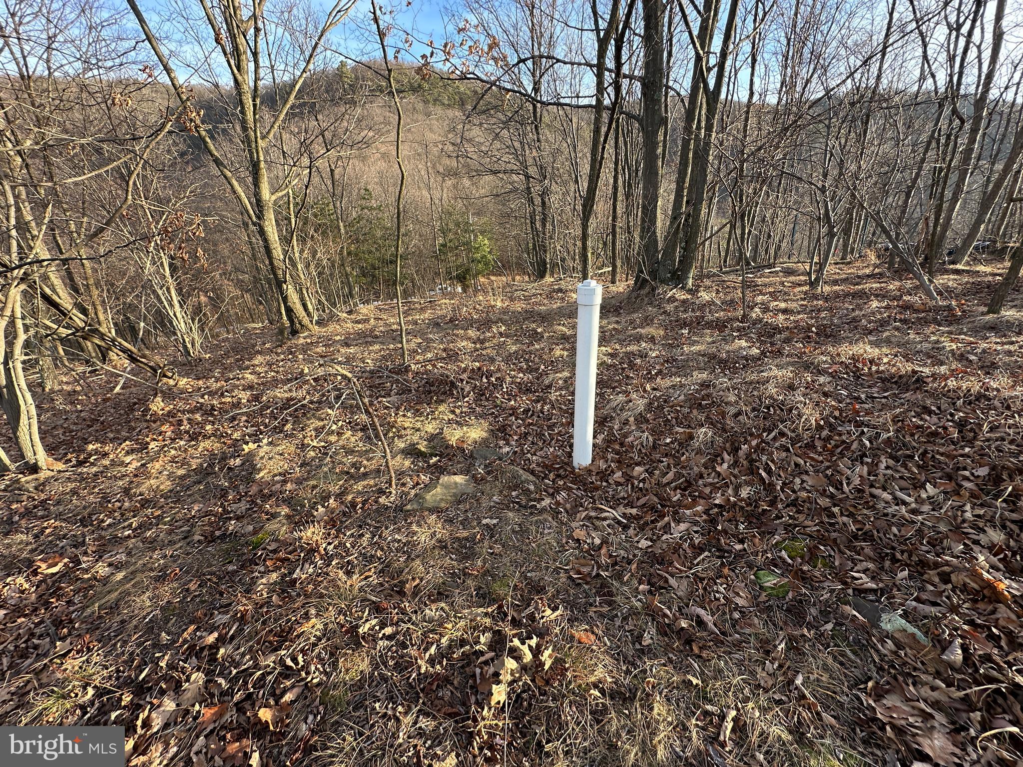 333 Nathaniel Mountain Road Moorefield, WV 26836 - Photo 11 of 65 3 BEDROOM SEPTIC