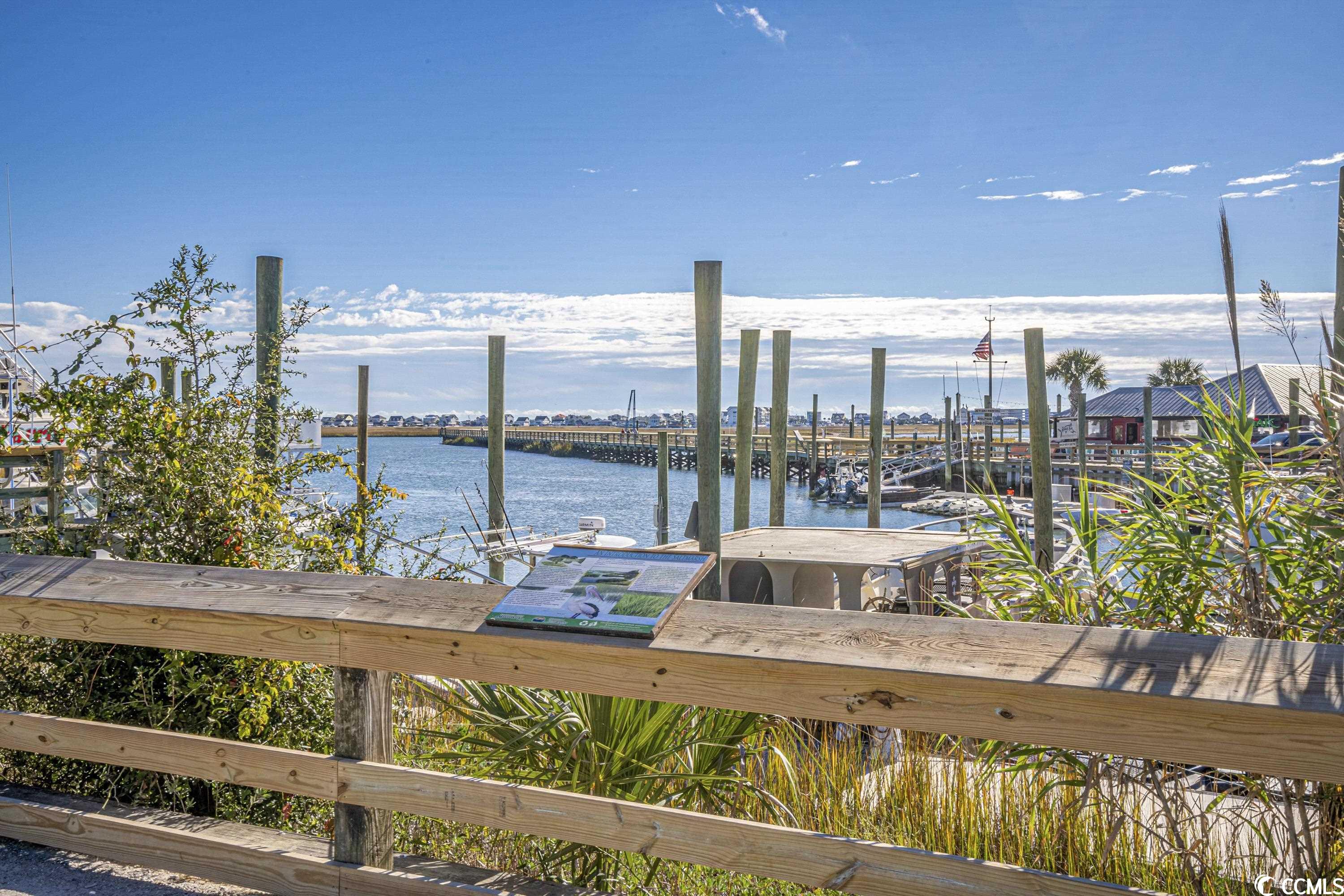 554 Hammock Avenue Murrells Inlet, SC 29576 - Photo 30 of 32