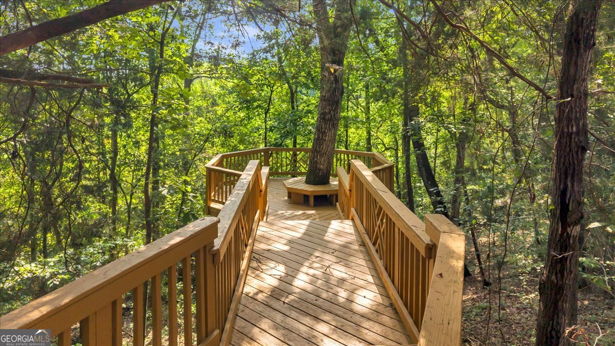 1060 Cooks Mill Road Oglethorpe, GA 31068 - Photo 61 of 104