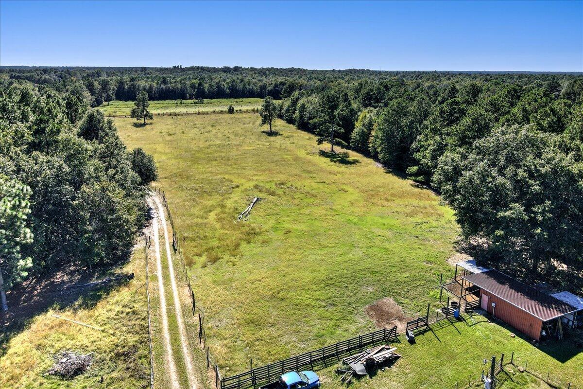108 Webbs Pond Road Williston, SC 29853 - Photo 29 of 30