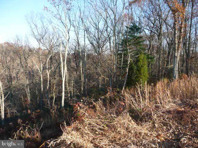 13893 Collins School Road, Unit 2 Airville, PA 17302 - Photo 11 of 34 Gallery Image 11