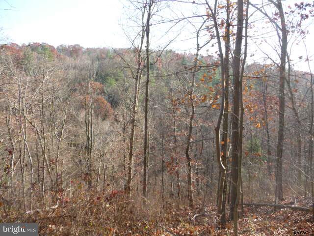 13893 Collins School Road, Unit 2 Airville, PA 17302 - Photo 13 of 34 Gallery Image 13