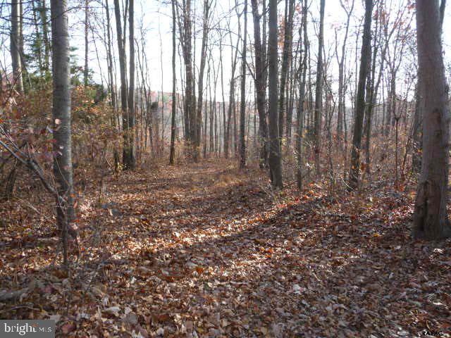 13893 Collins School Road, Unit 2 Airville, PA 17302 - Photo 15 of 34 Gallery Image 15