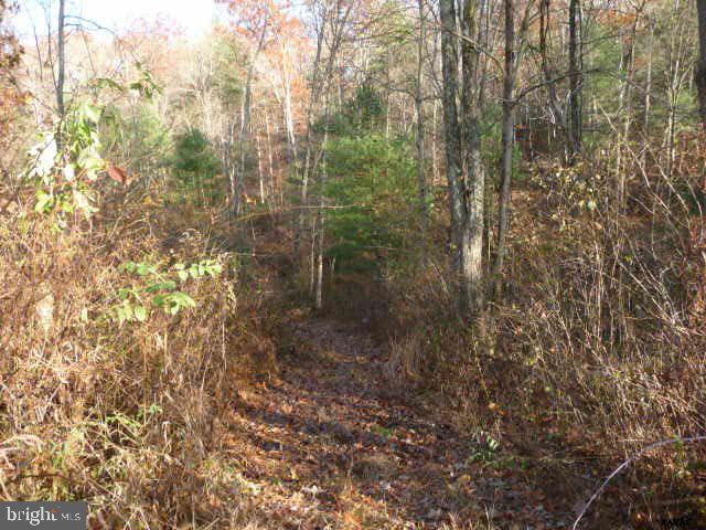 13893 Collins School Road, Unit 2 Airville, PA 17302 - Photo 19 of 34 Gallery Image 19