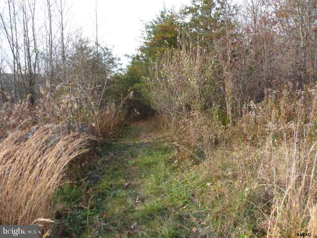 13893 Collins School Road, Unit 2 Airville, PA 17302 - Photo 29 of 34 Gallery Image 29