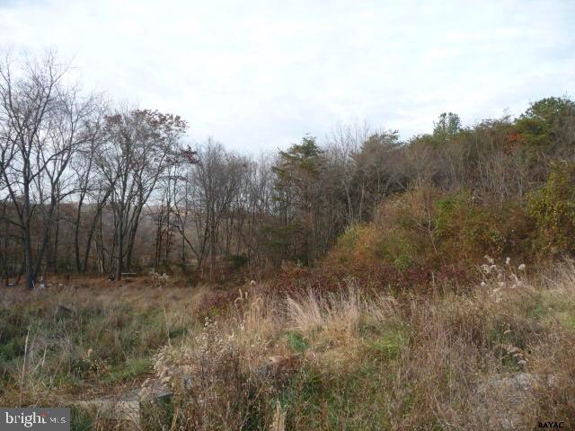13893 Collins School Road, Unit 2 Airville, PA 17302 - Photo 32 of 34 Gallery Image 32