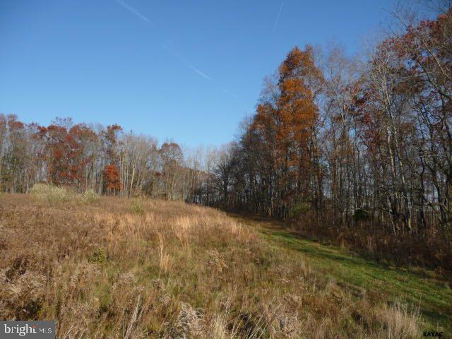 13893 Collins School Road, Unit 2 Airville, PA 17302 - Photo 5 of 34 Gallery Image 5