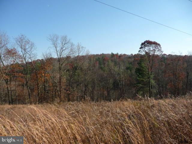 13893 Collins School Road, Unit 2 Airville, PA 17302 - Photo 9 of 34 Gallery Image 9