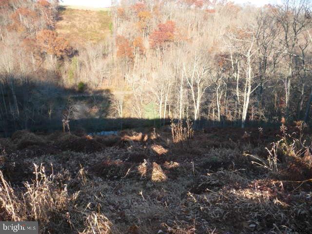 13893 Collins School Road, Unit 2 Airville, PA 17302 - Photo 10 of 34 Gallery Image 10