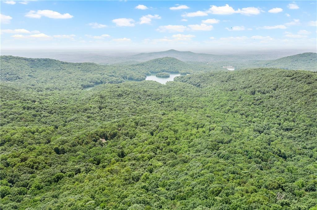 37 Petit Ridge Drive Big Canoe, GA 30143 - Photo 14 of 28