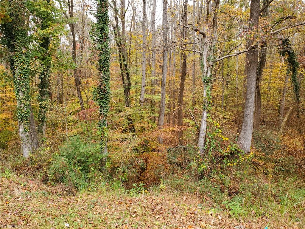 5371 Loop Road Clemmons, NC 27012 - Photo 3 of 4 Gallery Image 3