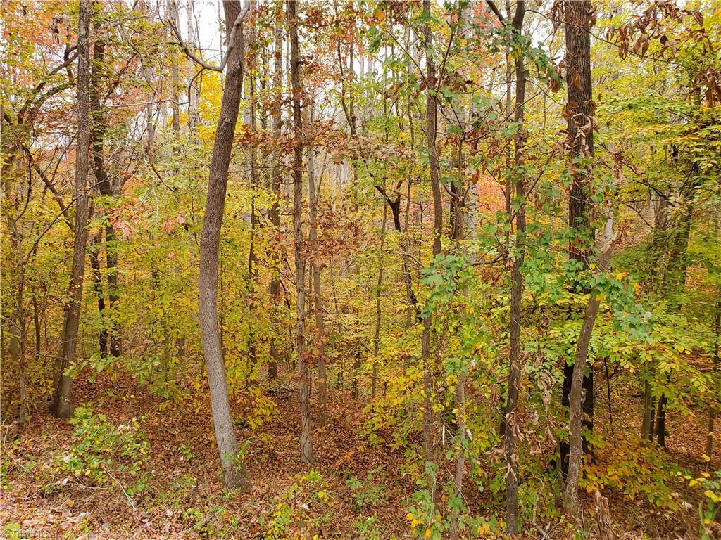 5371 Loop Road Clemmons, NC 27012 - Photo 4 of 4 Gallery Image 4