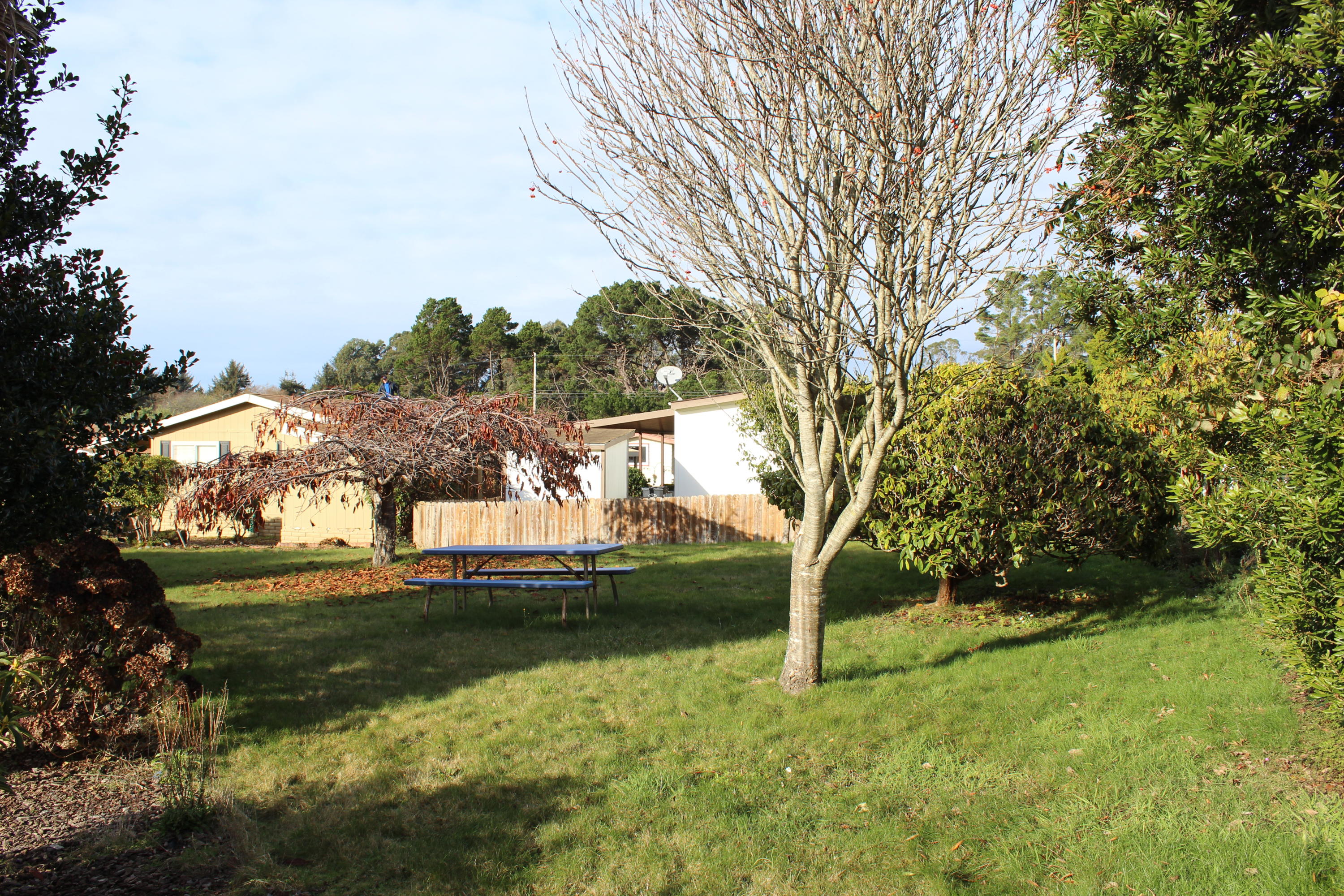 1090 Murray Road, Unit 19 McKinleyville, CA 95519 - Photo 5 of 18