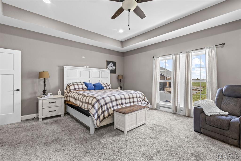 5909 Feezor Road Farmington, MO 63640 - Photo 41 of 87