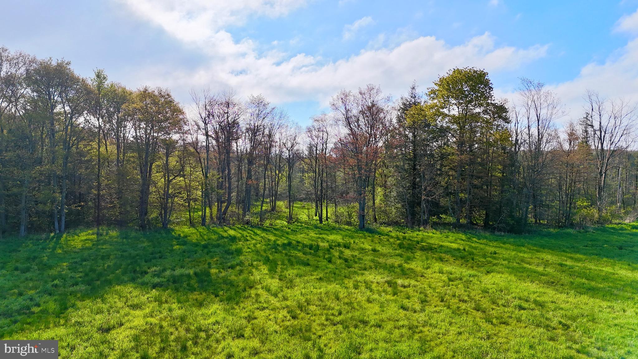 1362 Coleman Station Road Friedens, PA 15541 - Photo 19 of 25 Gallery Image 19