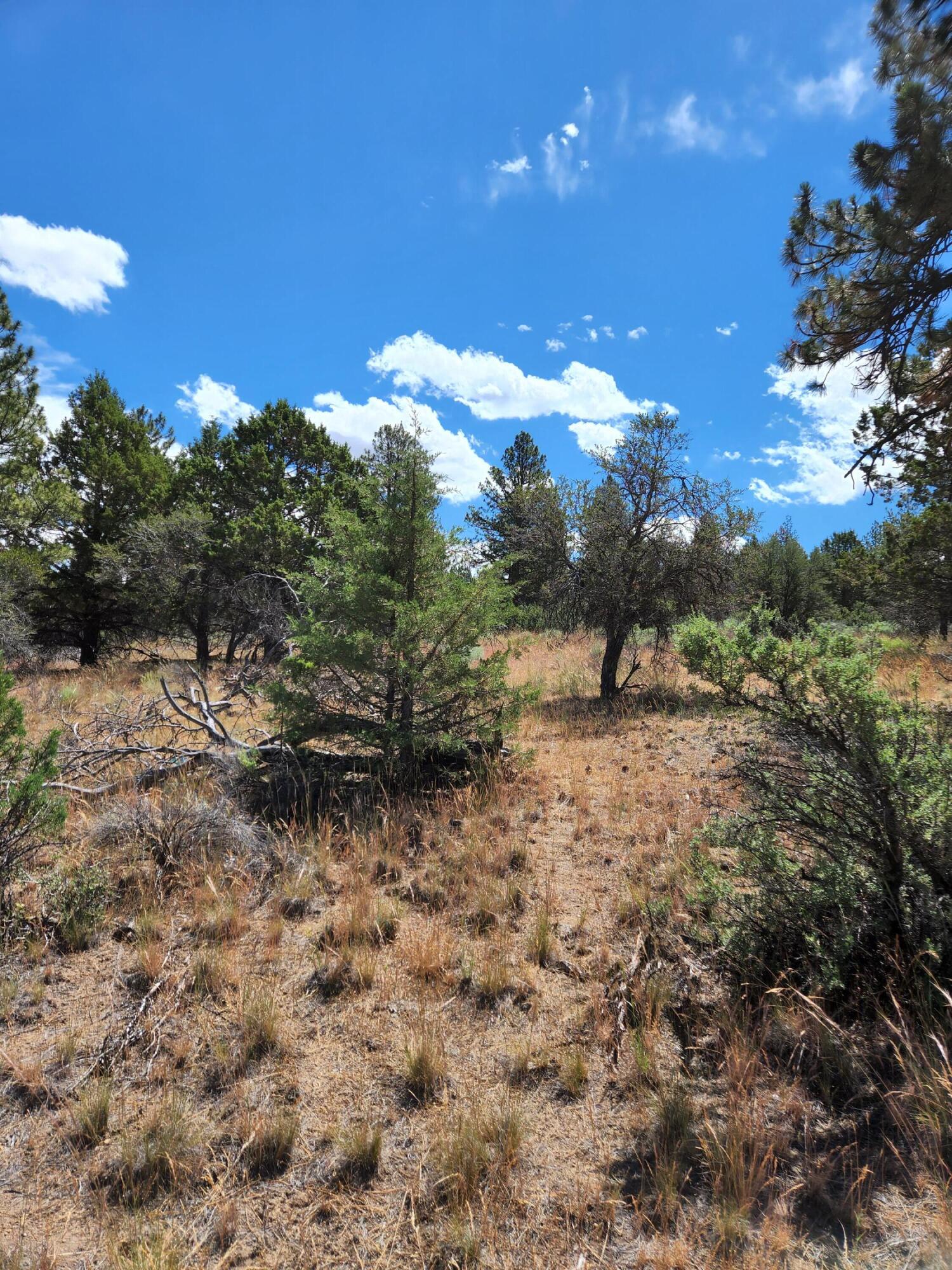 Lot 10 Quarry Circle Beatty, OR 97621 - Photo 10 of 12 Quarry L10