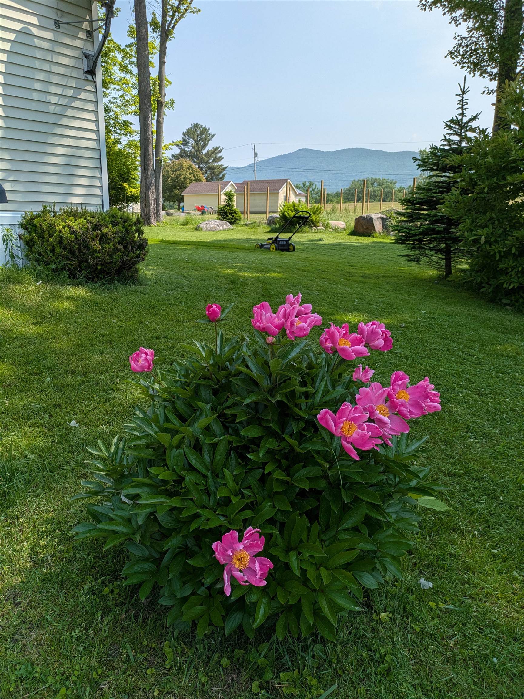 11 Prestons Park Rutland, VT 05701 - Photo 29 of 34