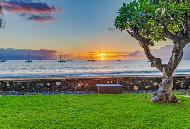 a view of a yard with an trees