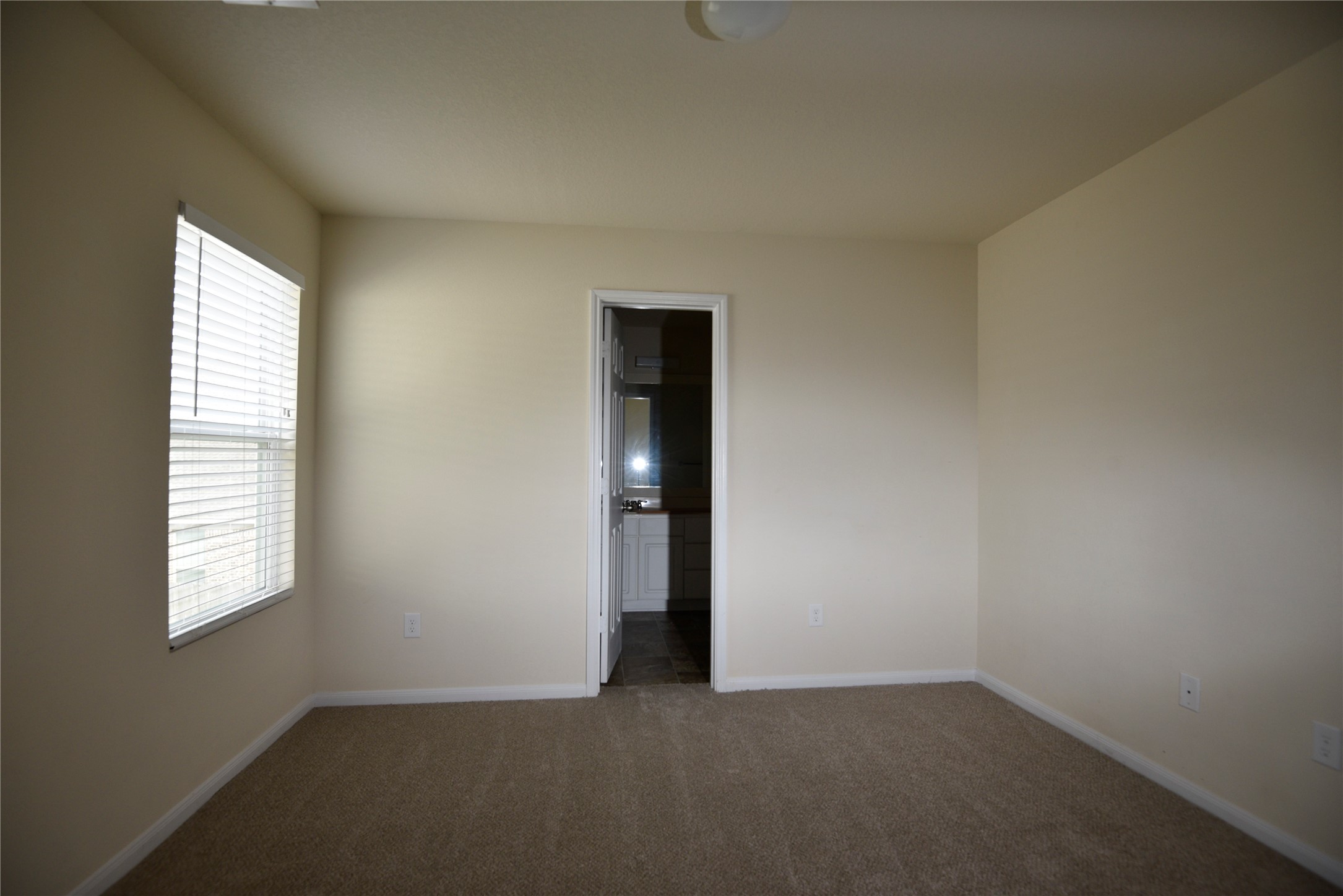 9997 Hyacinth Way Conroe, TX 77385 - Photo 25 of 45 an empty room with windows and closet