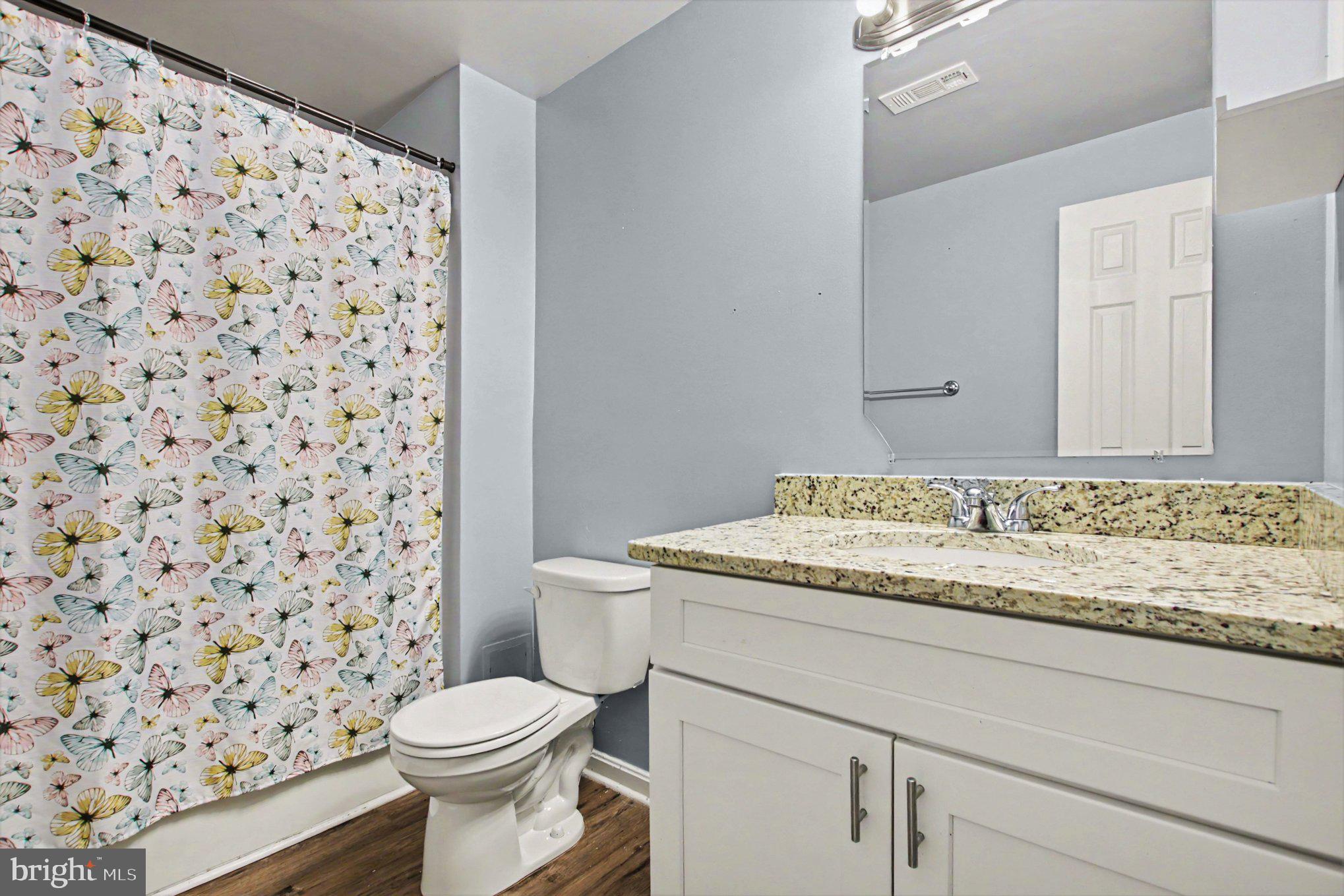 9486 Verdiersville Road Rhoadesville, VA 22542 - Photo 22 of 31 Lower level bathroom