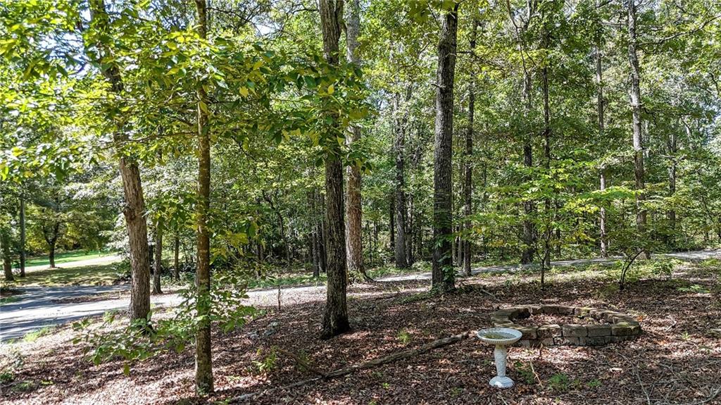36 Rocky Road Northwest Adairsville, GA 30103 - Photo 60 of 66 Gallery Image 60