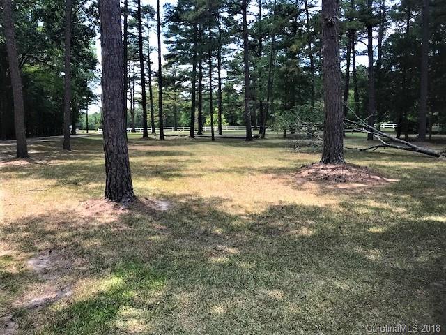 2426 New Cut Church Road Lancaster, SC 29720 - Photo 11 of 28 a view of a yard with trees