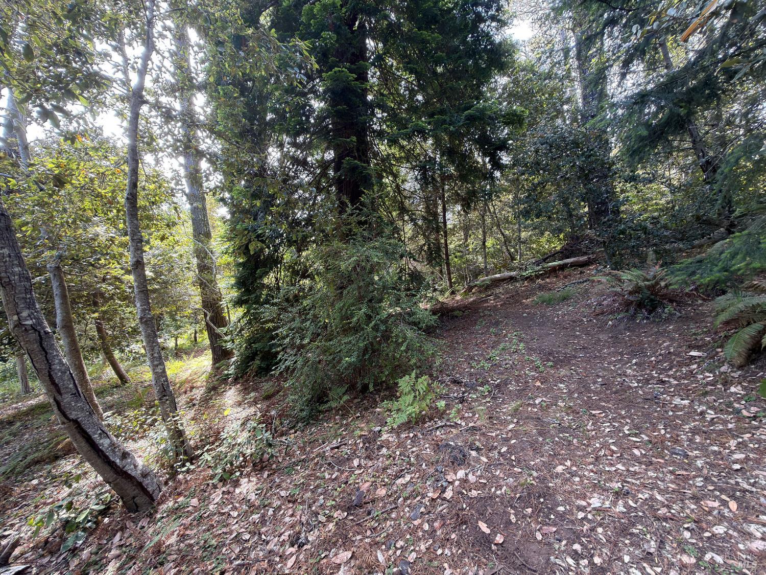 76 Compass Close The Sea Ranch, CA 95497 - Photo 4 of 29