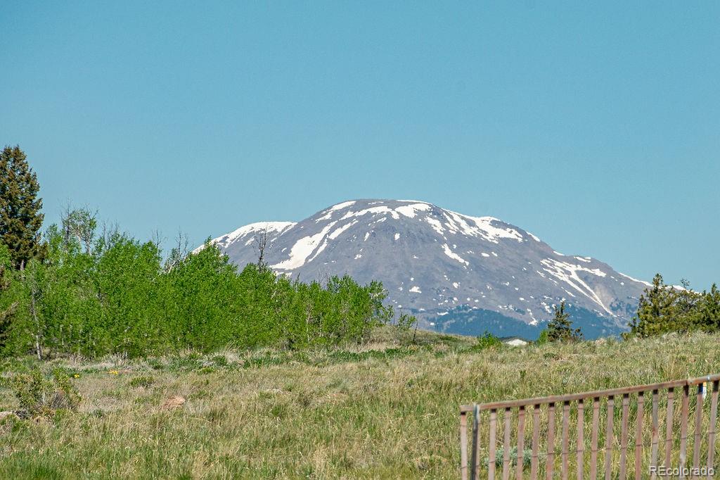 681 Forge Road Hartsel, CO 80449 - Photo 39 of 41 a view of a backyard