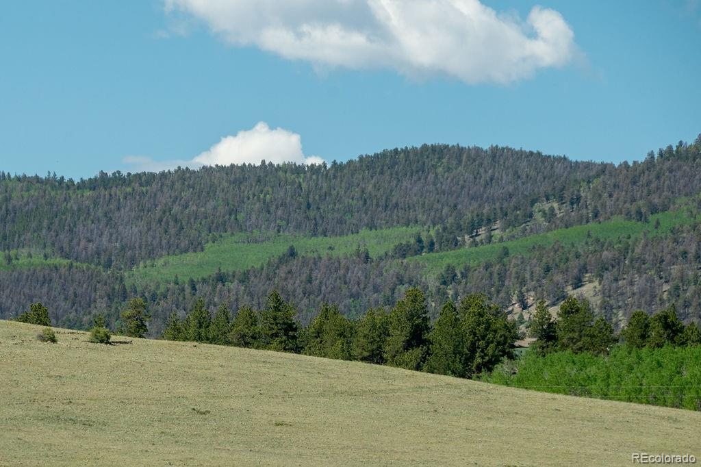 681 Forge Road Hartsel, CO 80449 - Photo 40 of 41 a view of a dry yard