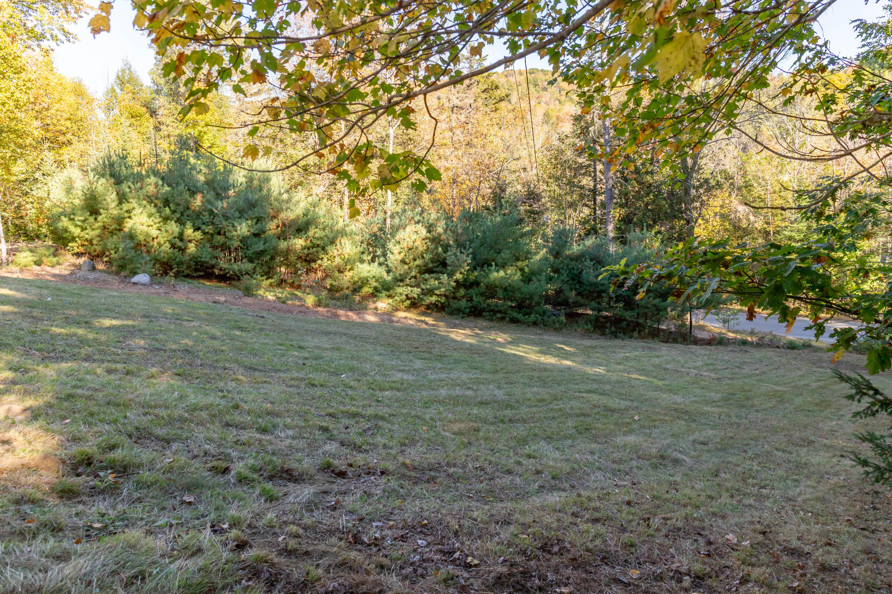 151 Mill Road Dedham, ME 04429 - Photo 51 of 60 IMG_0005