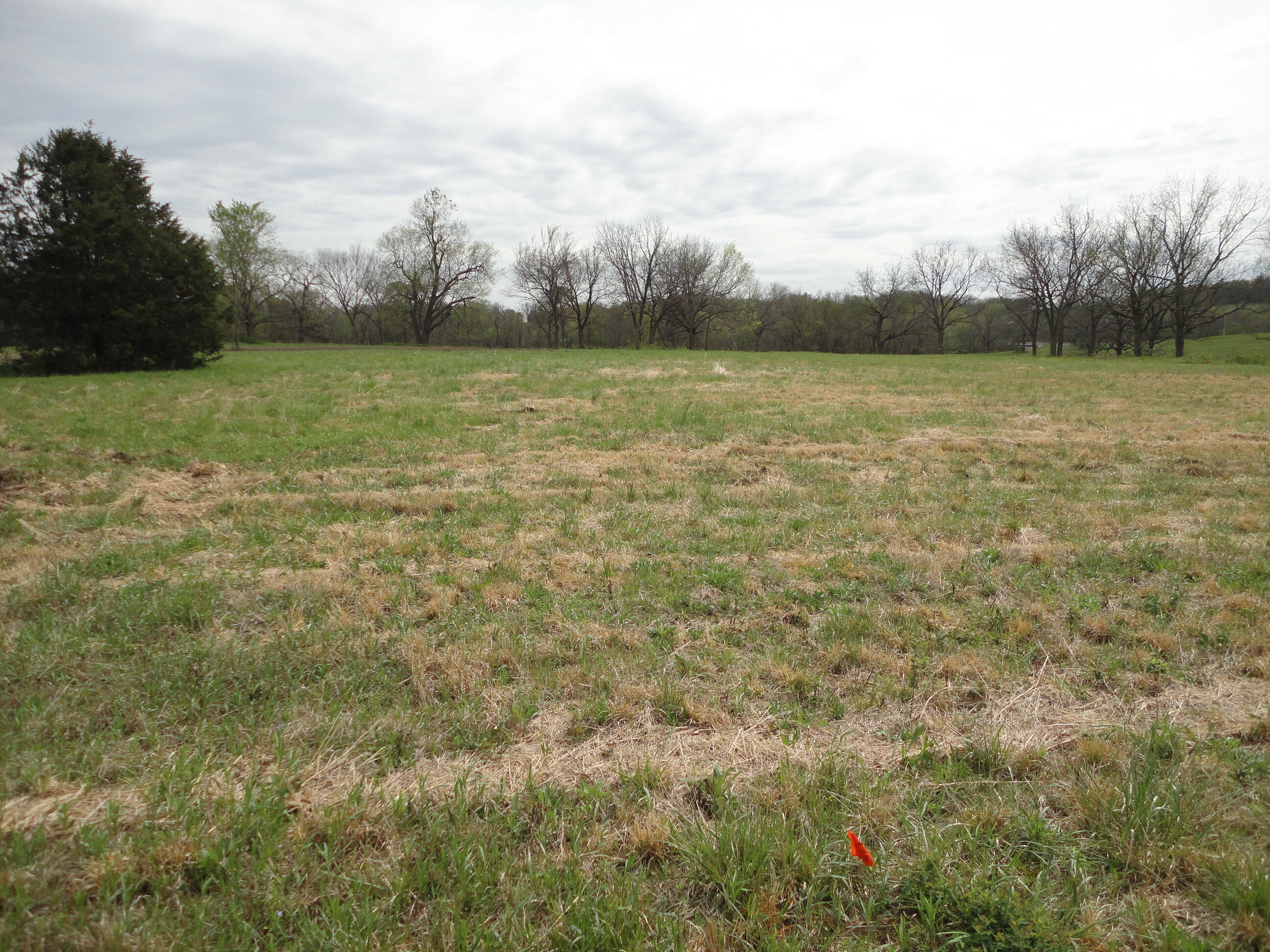 62305 East 270 Road Grove, OK 74344 - Photo 19 of 28 DSC03215