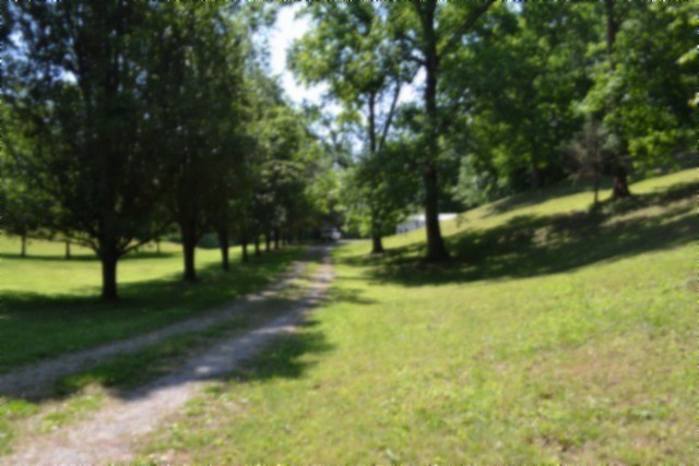 318 Rock Springs Road Celina, TN 38551 - Photo 59 of 87
