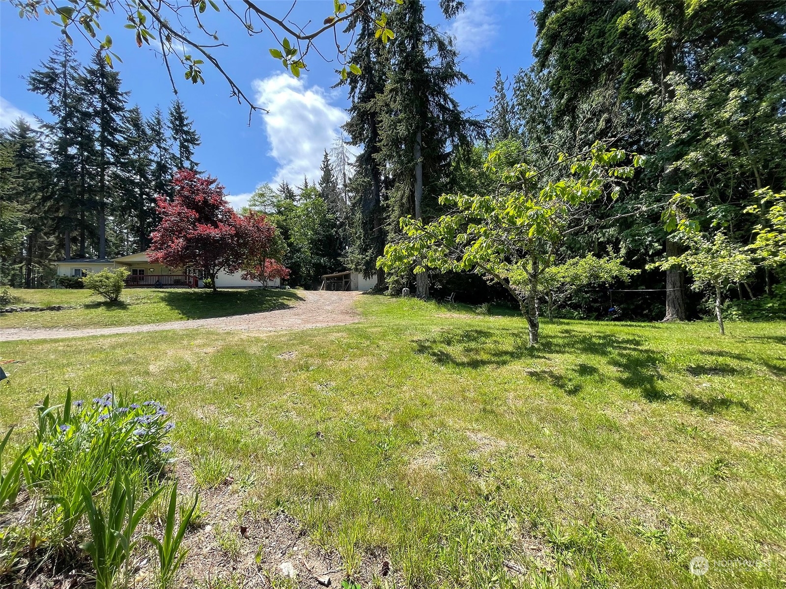1010 Lemmon Road Port Angeles, WA 98362 - Photo 39 of 40 a view of a field of the house along with trees