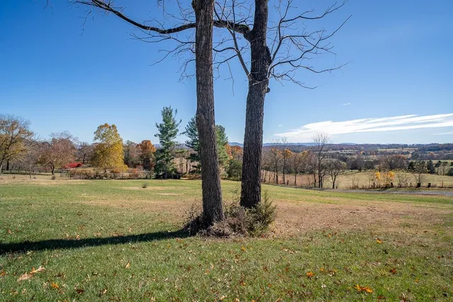 a view of a yard with a house