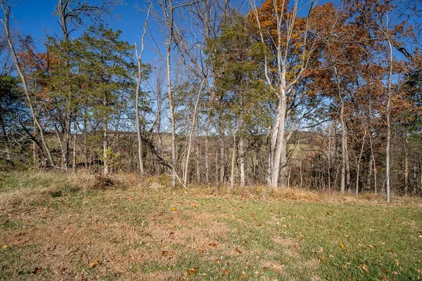 a view of a field with trees in the background