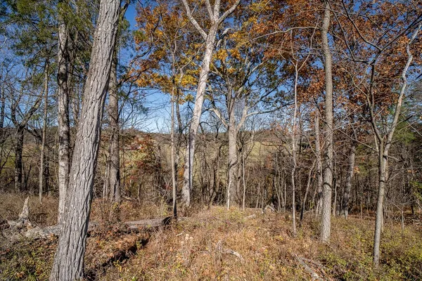 a view of back yard of the house
