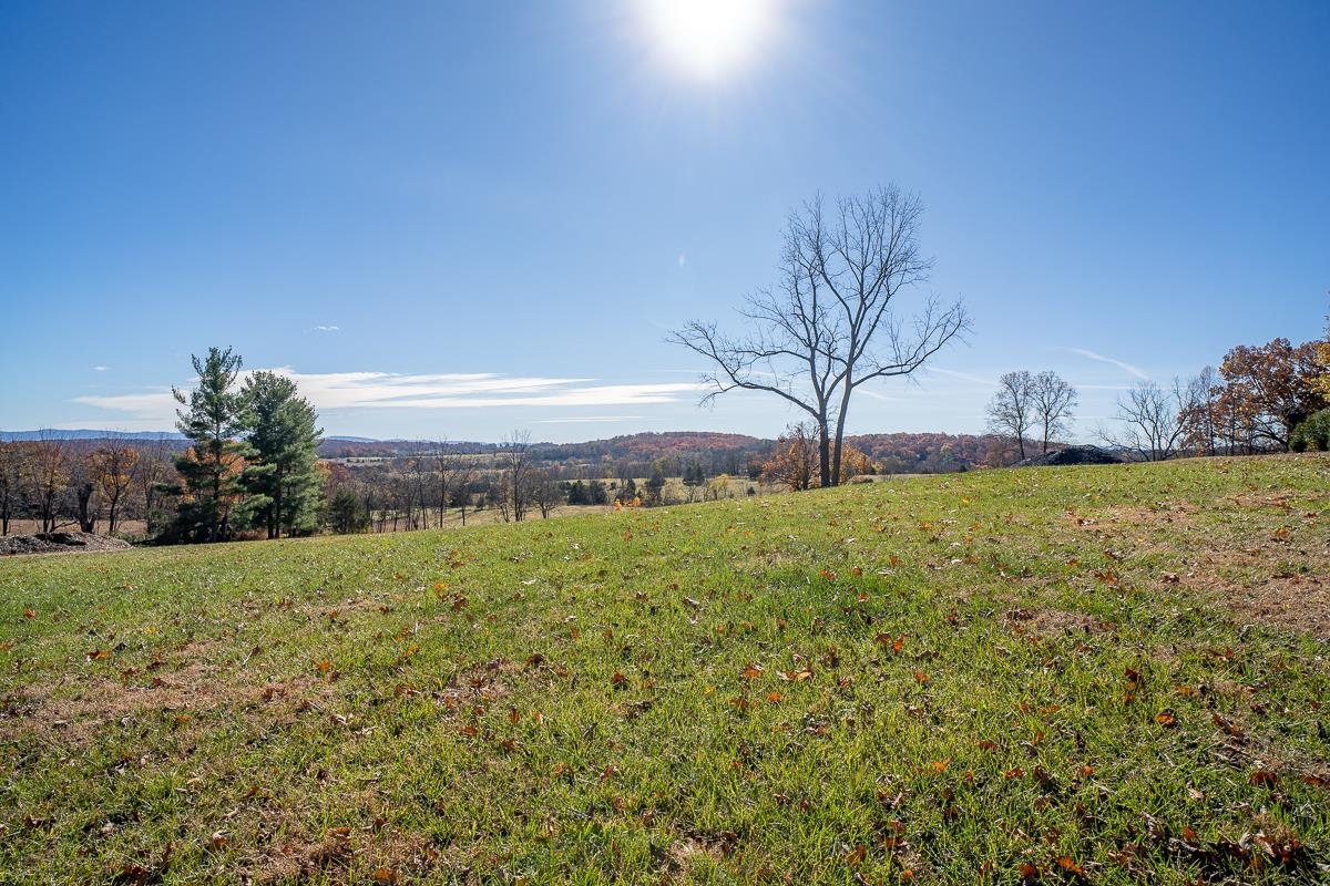 Tbd Roman Ridge Road West Mount Sidney, VA 24467 - Photo 14 of 16 a view of a yard with a house