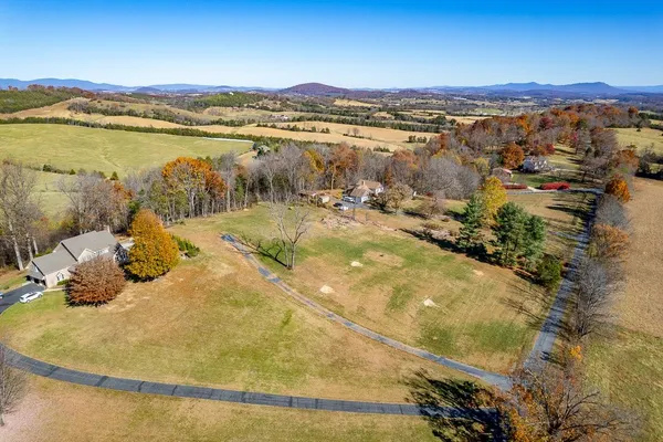 a view of a field with a tree