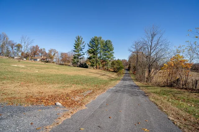 a view of a yard with trees