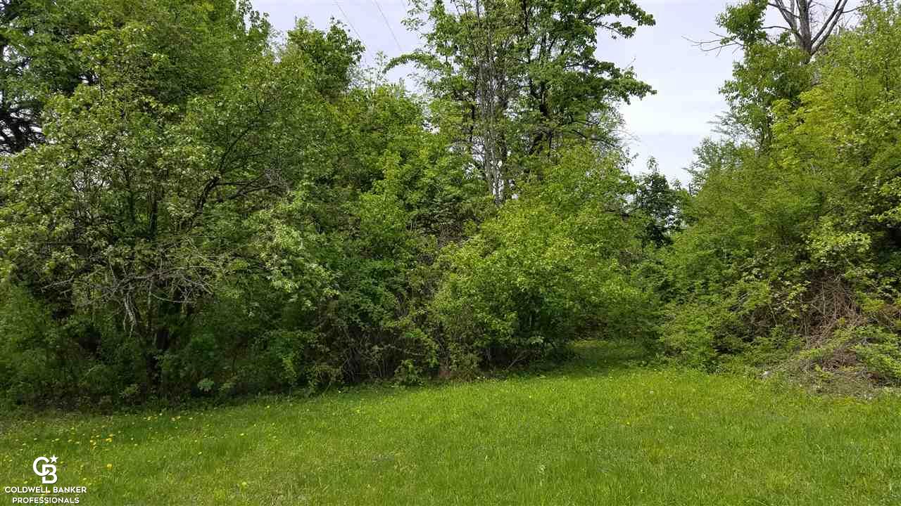 9866 Brandon Road Avoca, MI 48006 - Photo 26 of 30 This is view 6 of the field.