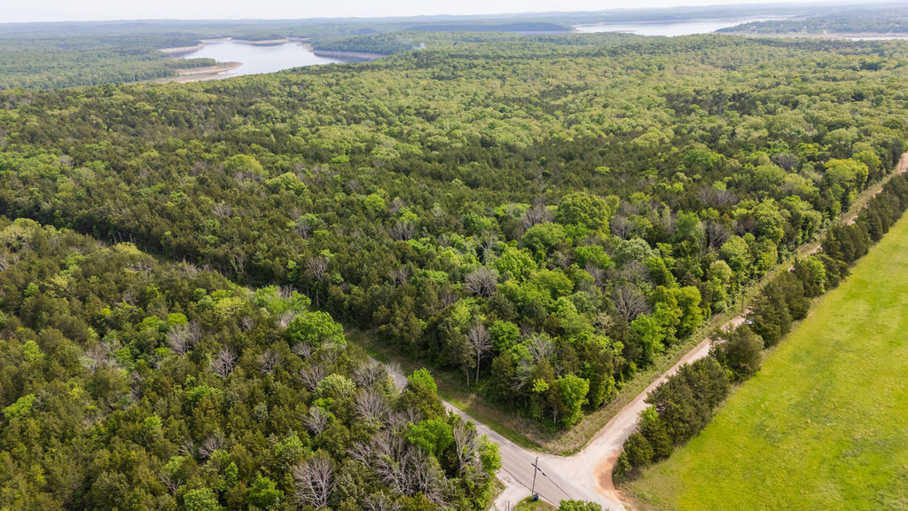 1 Horseshoe Bnd Road Lead Hill, AR 72644 - Photo 23 of 46 Expansive land parcel featuring diverse tree coverage, a natural water body, and a clear boundary with open grassland
