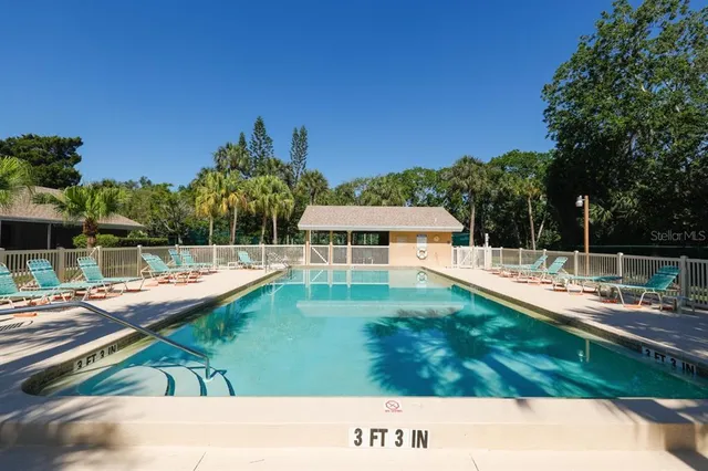 a view of a park with palm trees