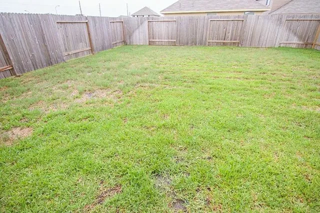 a view of a backyard with wooden fence