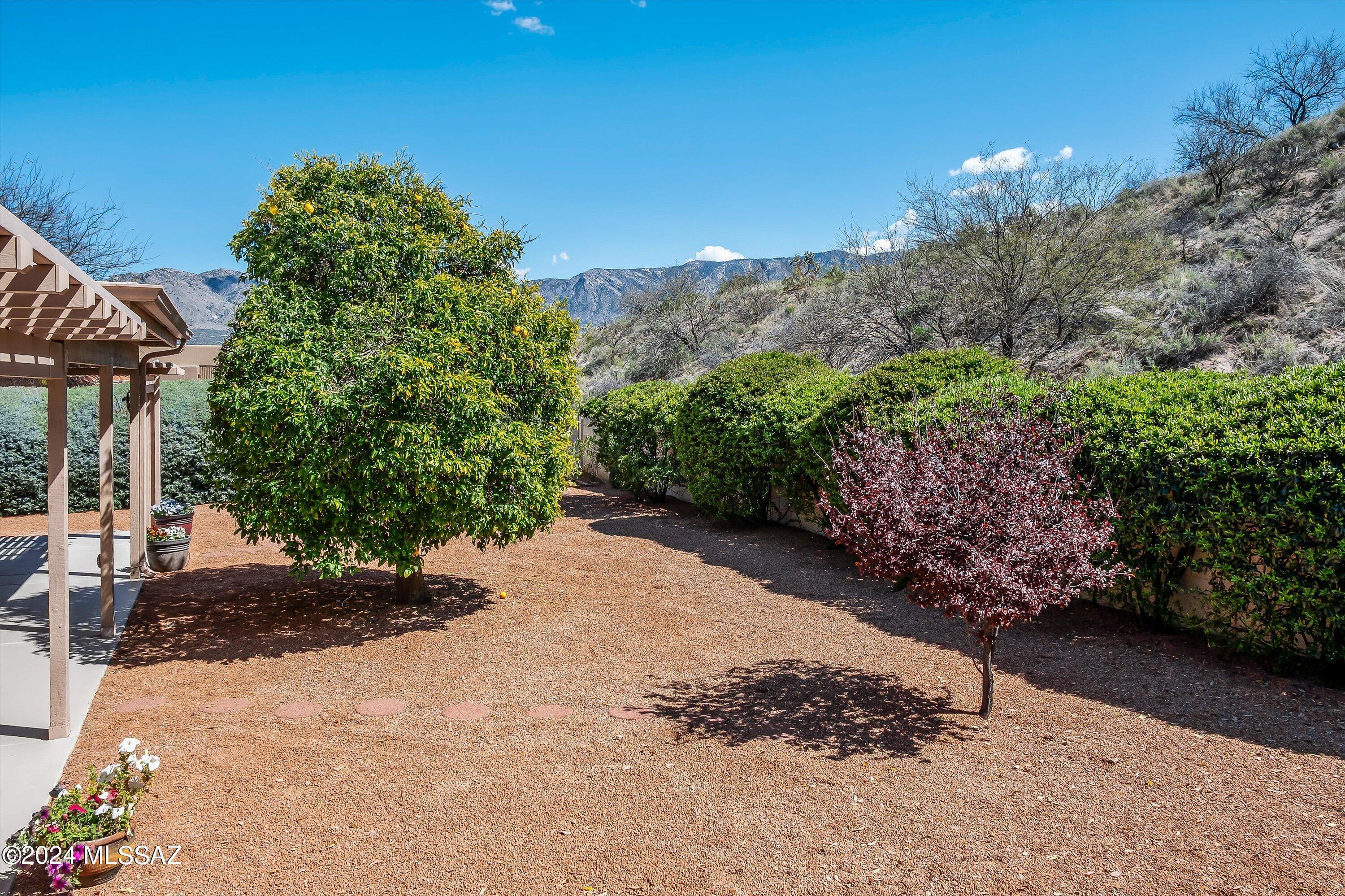63677 East High Point Lane Saddlebrooke, AZ 85739 - Photo 37 of 47