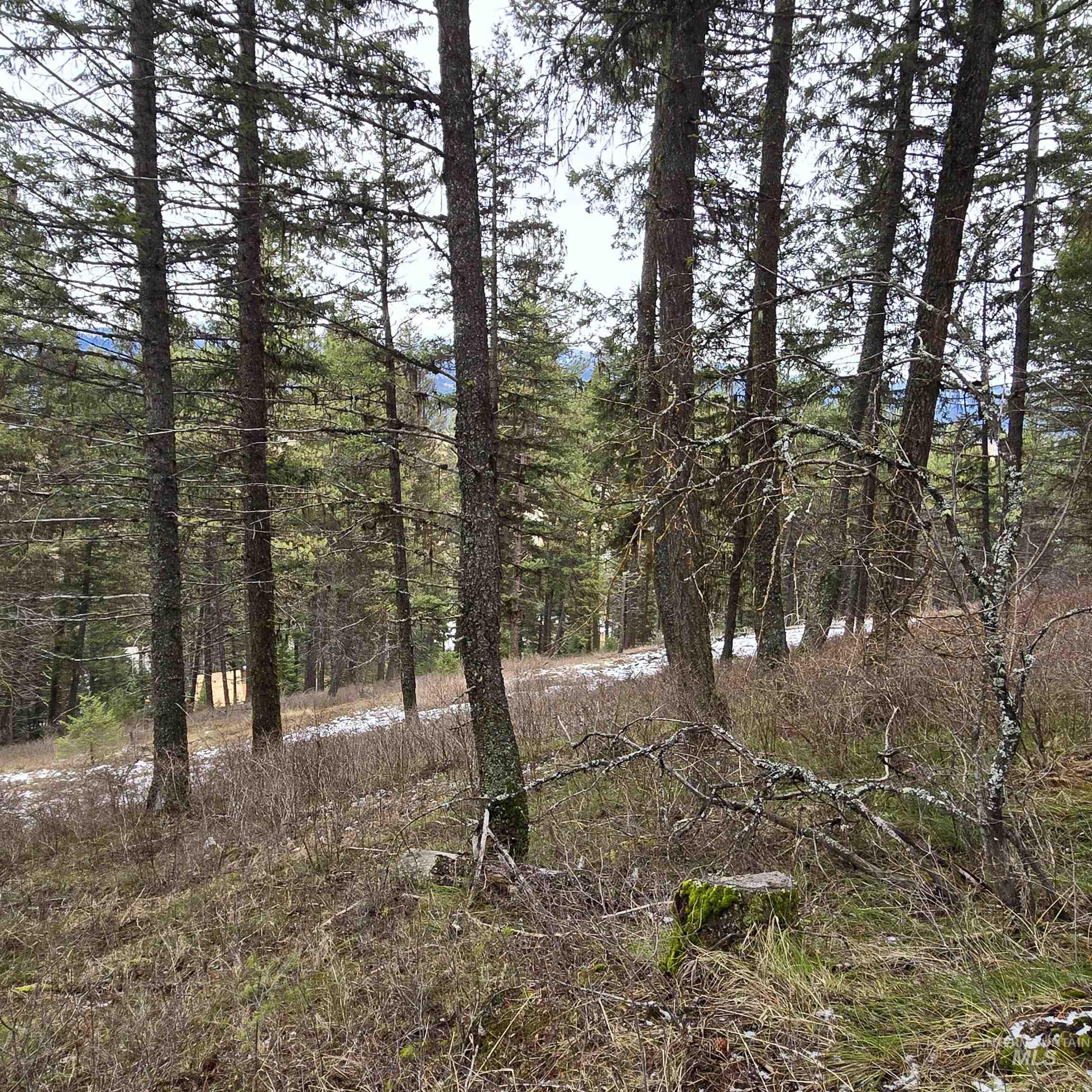 Tbd Granite View Road New Meadows, ID 83654 - Photo 6 of 9 Gallery Image 6