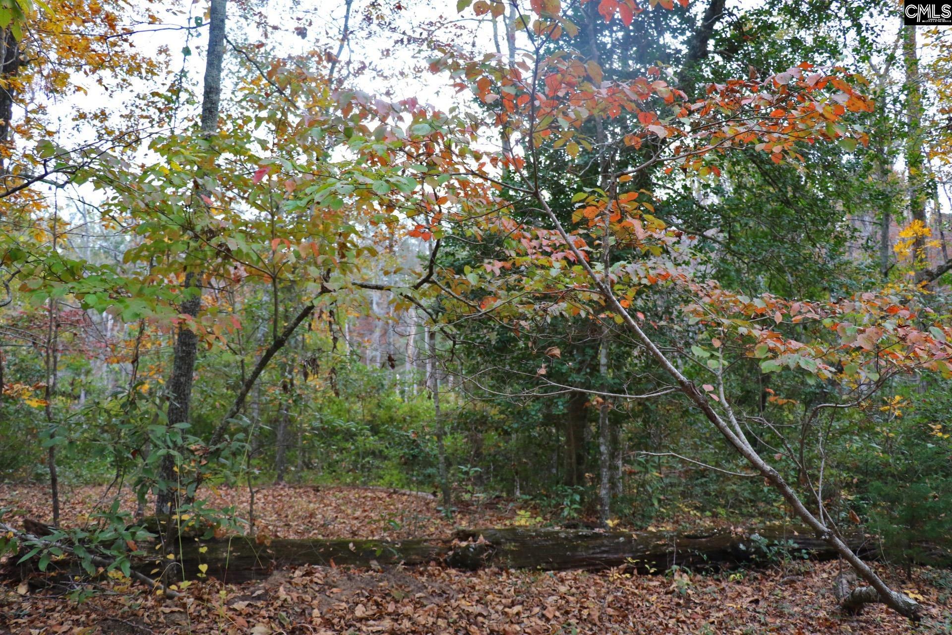 Tbd Browns Pond Road Wagener, SC 29164 - Photo 38 of 48