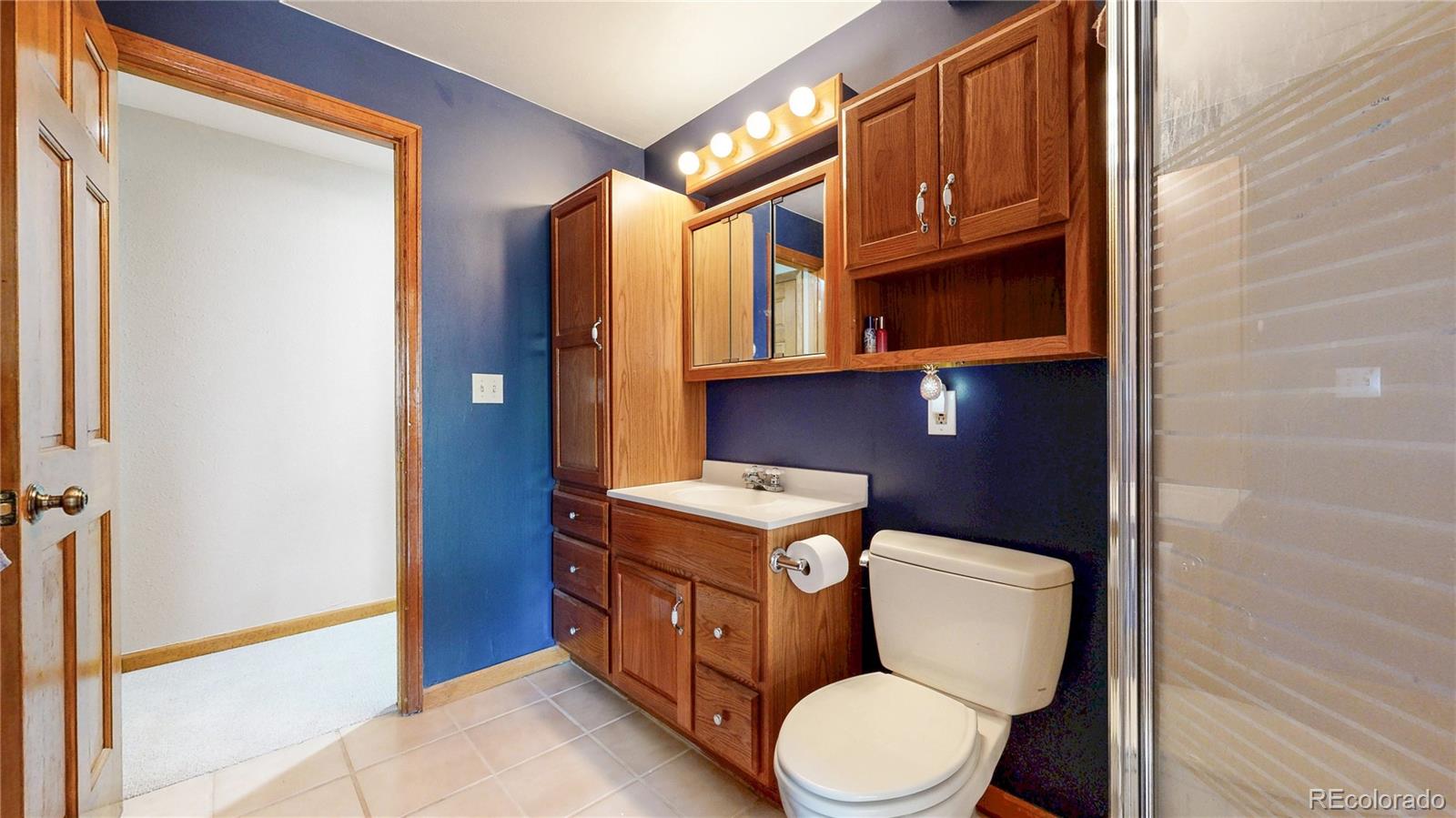 6265 Cornell Court Highlands Ranch, CO 80130 - Photo 28 of 41 a bathroom with a toilet a sink and a mirror
