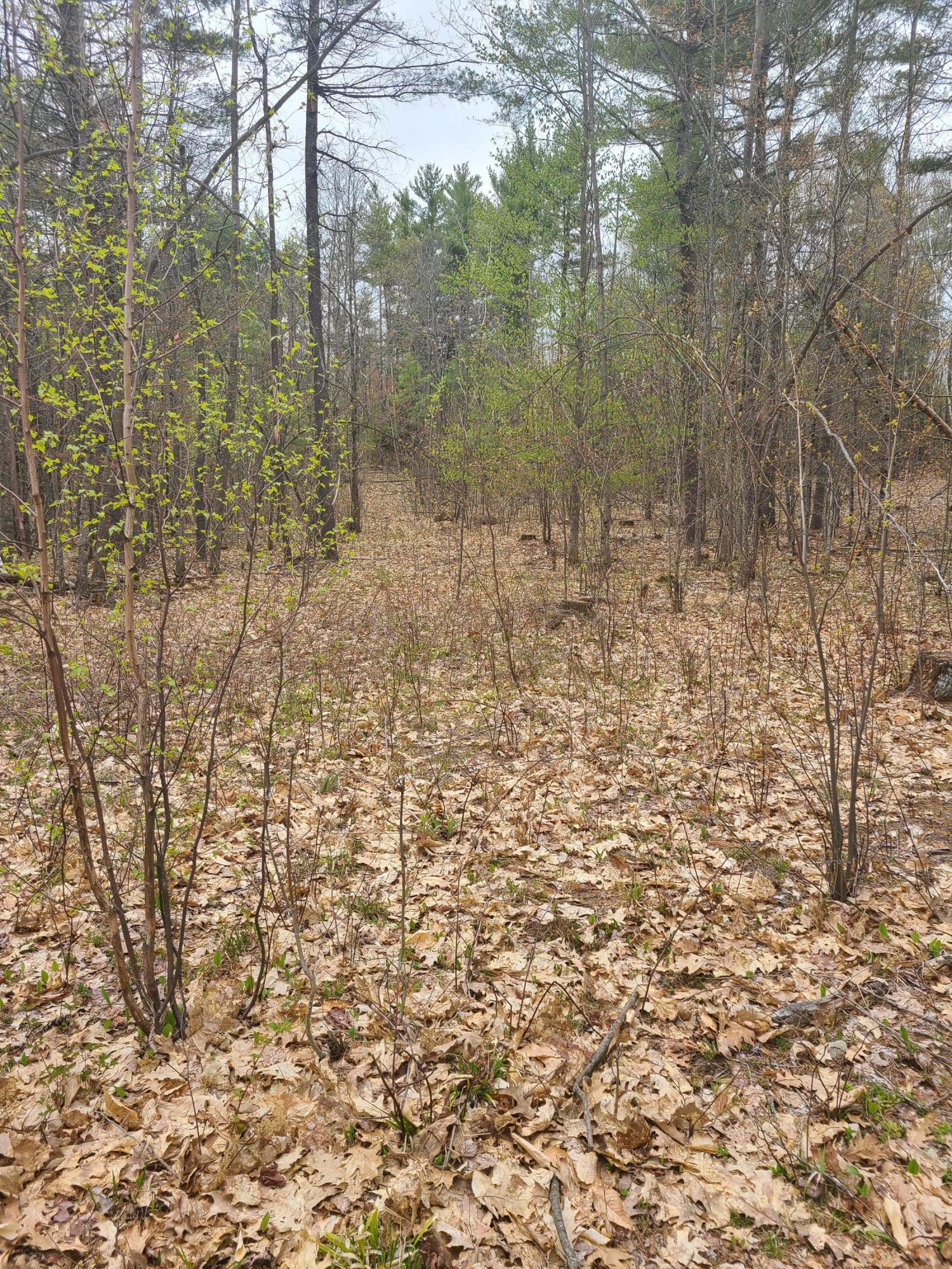 0 Little Wilson Pond Road Turner, ME 04282 - Photo 10 of 13 20210504_114842