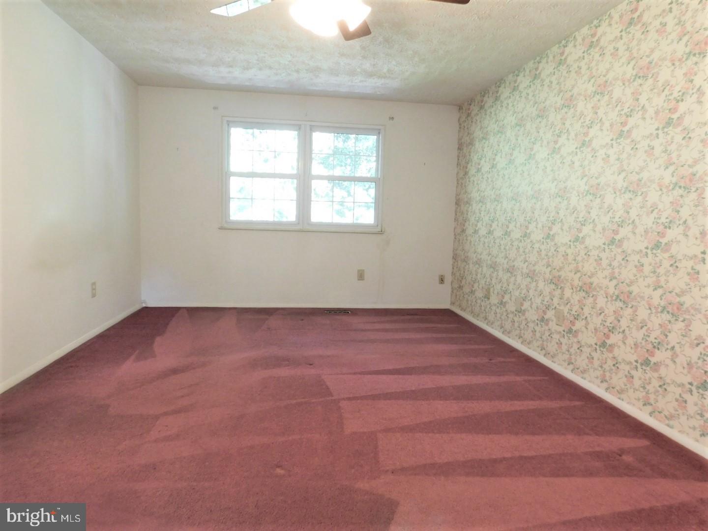 8488 Magic Tree Court Springfield, VA 22153 - Photo 14 of 29 Gallery Image 14