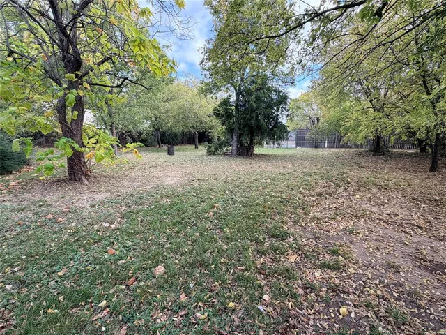 a view of a yard with a tree